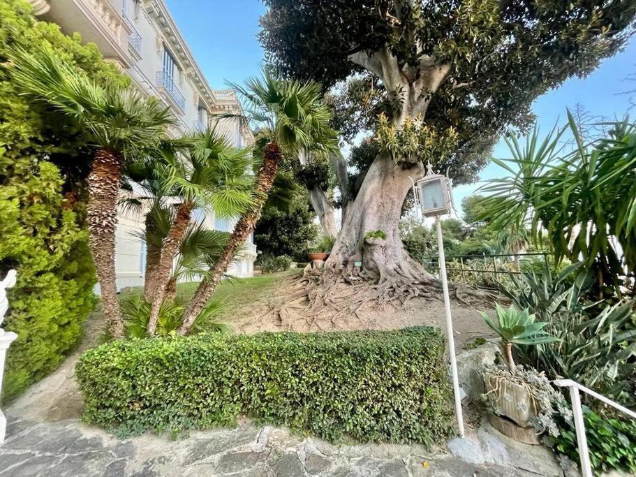 Suite Cavalieri Di Rodi 6 - Оспедалети Екстериор снимка